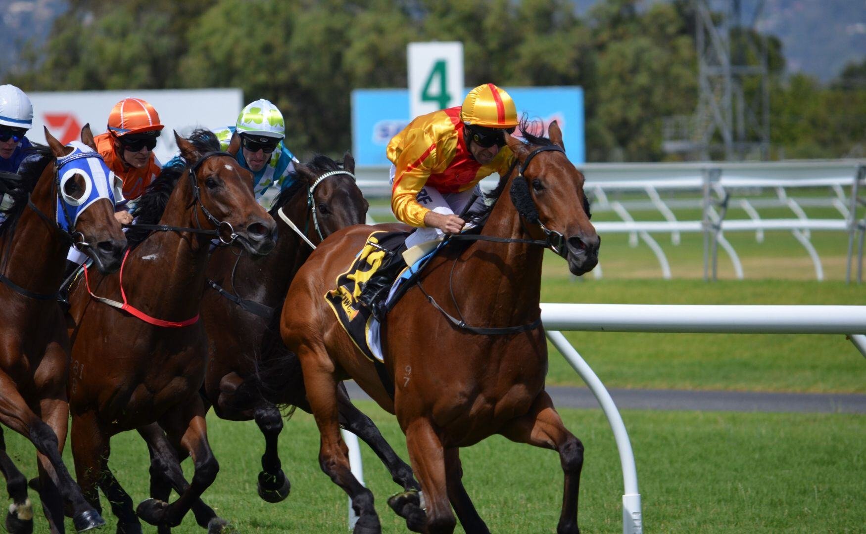 horse racing hong kong
